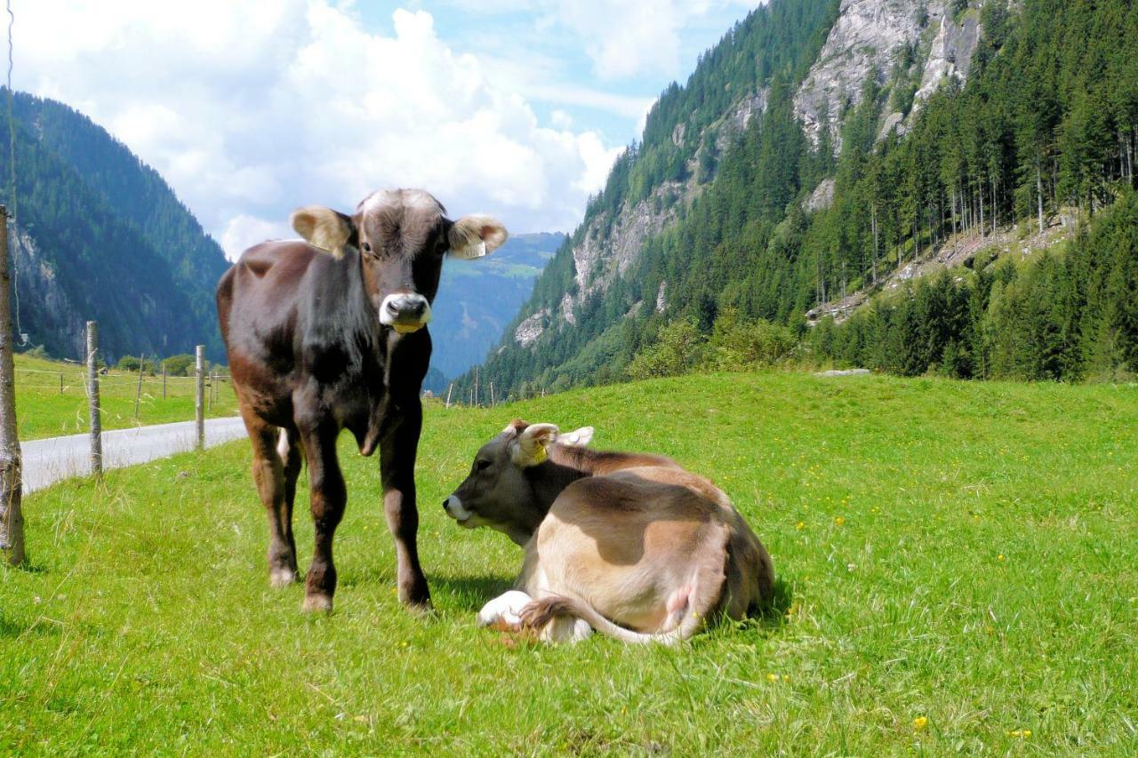 Nieslerhof Villa Mayrhofen Kültér fotó